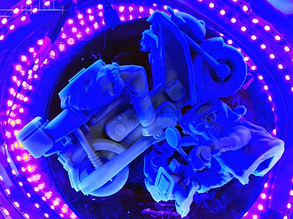 Celebrations Thumb 12